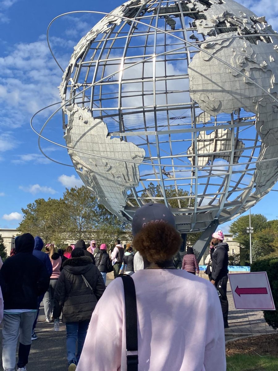 Making Strides Against Breast Cancer Annual Breast Cancer Walk in Flushing Meadows Corona Park